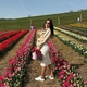 K.Bogiprofilképe, 22, Balatonalmádi